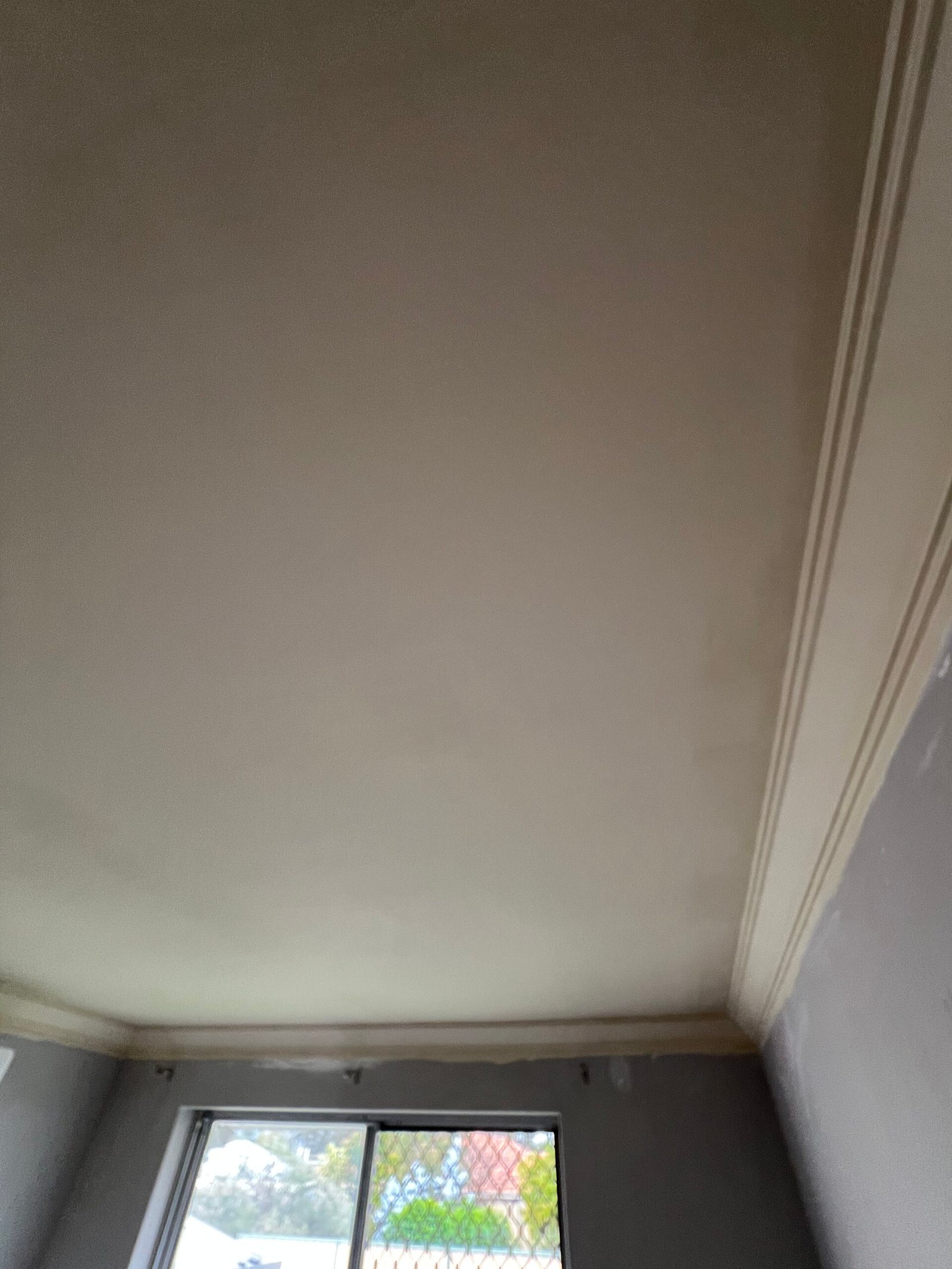 Ceiling after painting