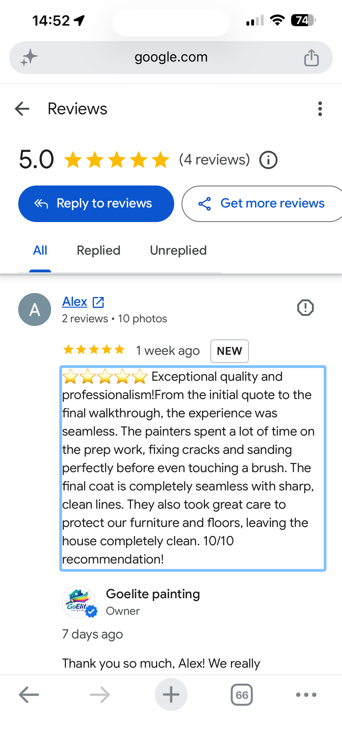 GOELITE Painting customer review from Alex on Google